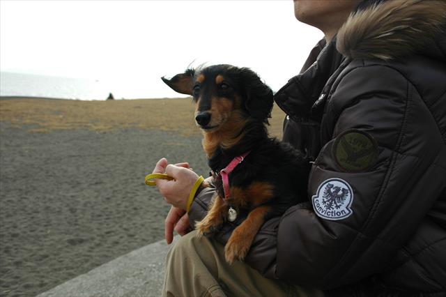 冬の海。ちょっと寒いけど、抱っこされてぬくぬく。