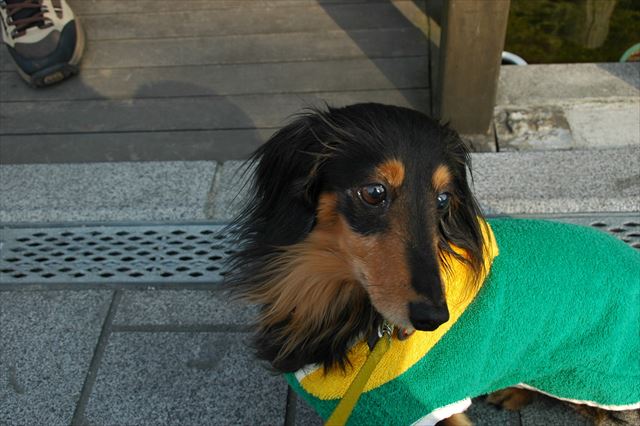 風邪ひかないでね、って洋服作ったんだよ。