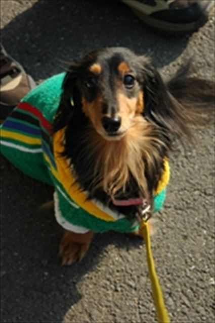 ルパン♪　なんてかわいいの。