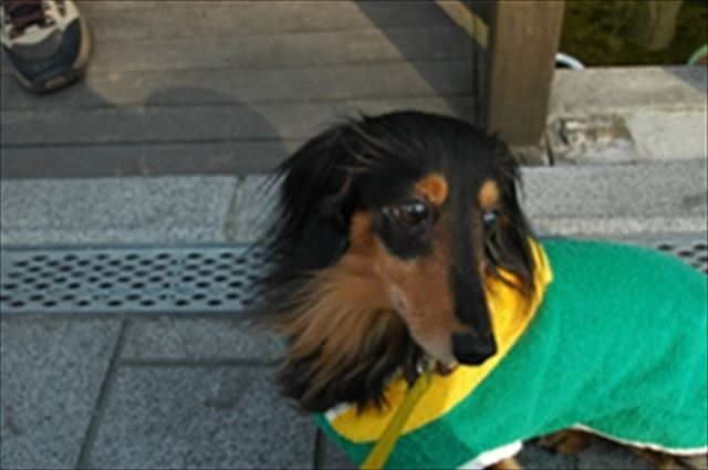 どこに行くのも一緒だったね。