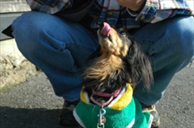 待ってるね。おやつ、待ってるね。