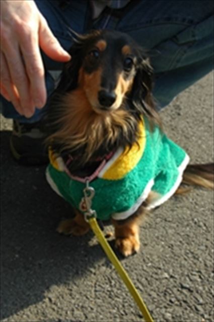 ルパン♪なんてかわいいんだろ。