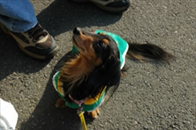 こんな目で見つめられたら・・！