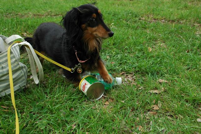 いいもの見つけた？