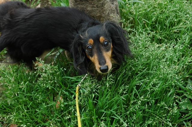 んーールパン！！大好き！