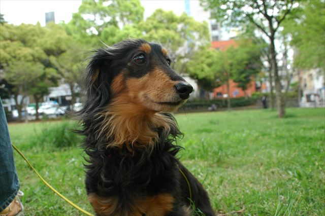 ルパンとの思い出の地、横浜。