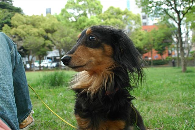 ルパン、大好きだよ・・