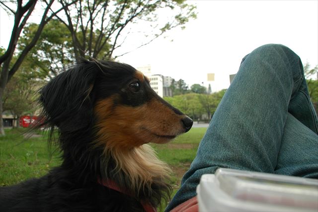 大好きな横浜。ルパンと出会った街。