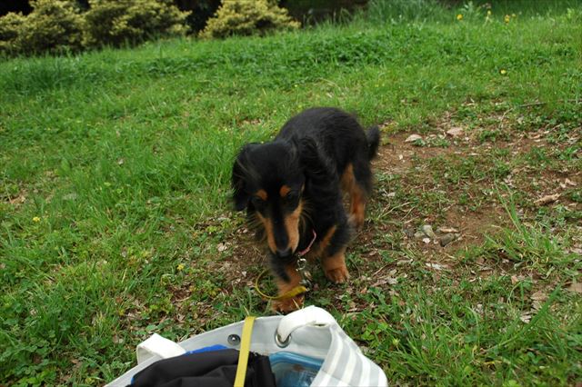 ふふ・・狙ってる？