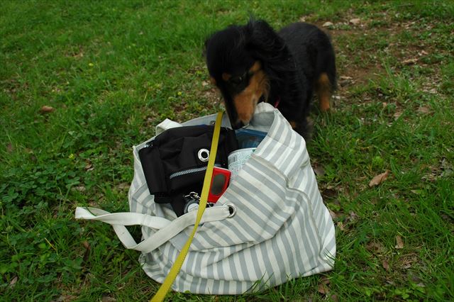 いいもの見つけたね！イタズラっ子ルパン♪