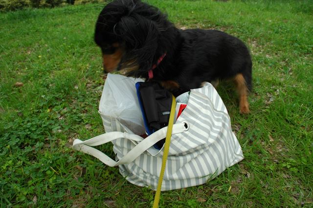 こんなルパンも大好きだよ。