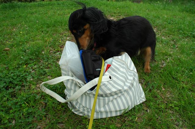 いたずら大好きルパン♪