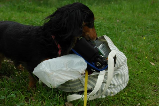 こんなルパンがたまらなく好きだったよ。