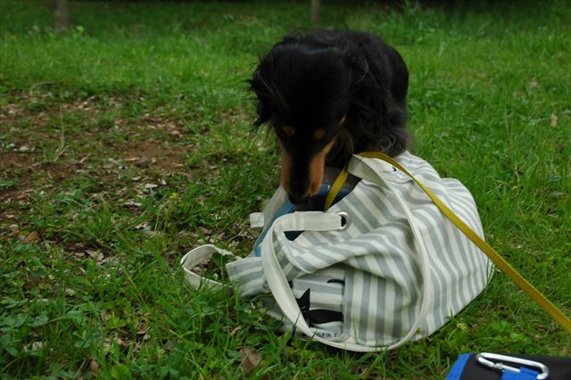 おやつの箱・・見つけたな♪