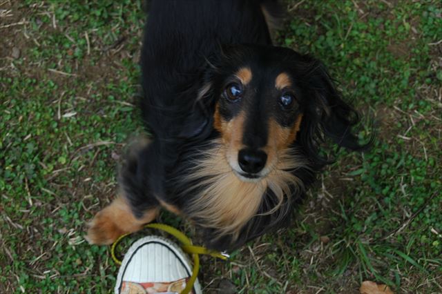 かわいい・・かわいい・・♪