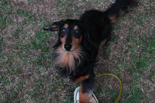 ルパン、大好きだよ。