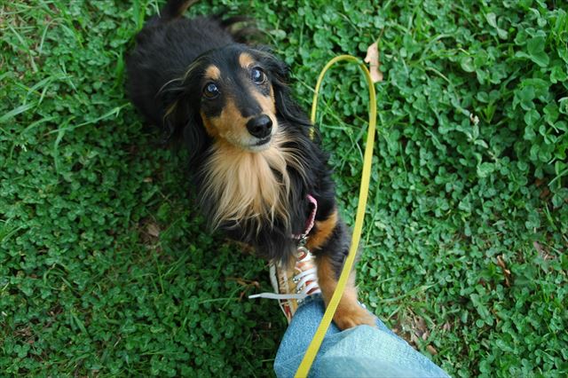 ねえねえ・・な～に？