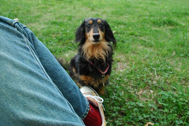 なんてかわいいの・・ルパン。