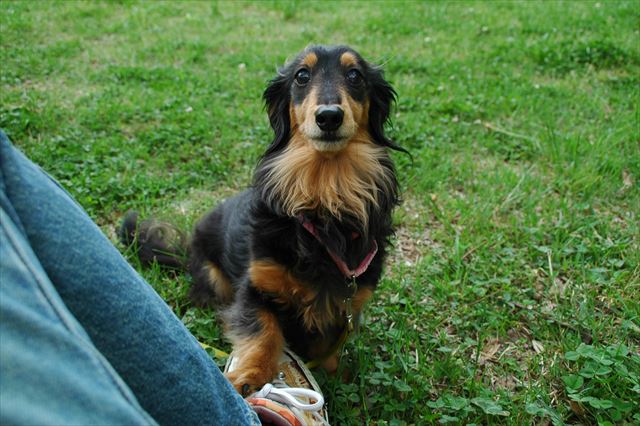 トントン。いつでもどこでも遊んだね。