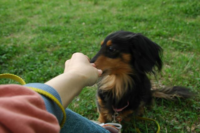 ハイ、あげる♪