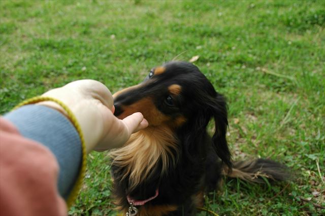 ルパン大好きだよ。こんな表情が大好きだよ。