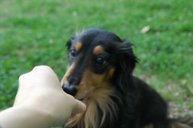 ルパンのぬくもり、今でも覚えてるよ。