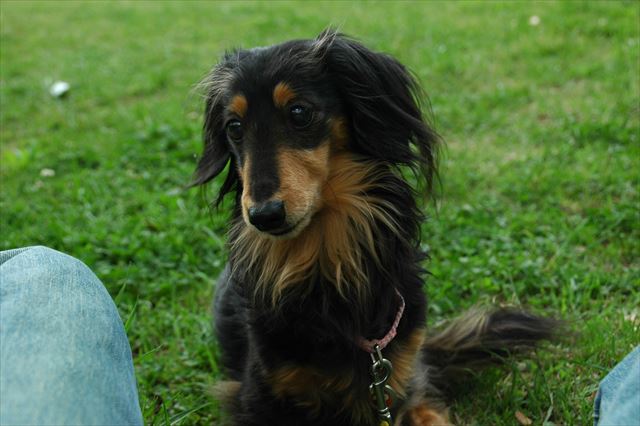 ずーっと見ていたかったよ、ルパンのこと。