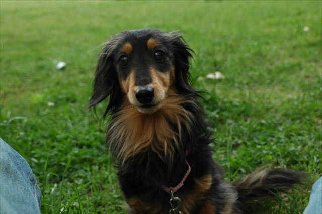 ルパンくんはーい！