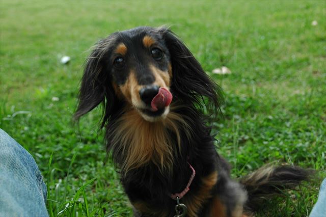 美味しかった？もっと・・？だよね。