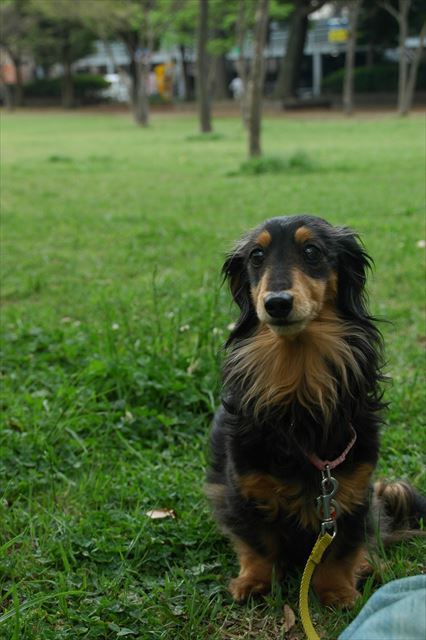 ルパン♪大好きだよ。