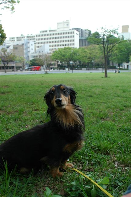 横浜の思い出も大事にするよ・・