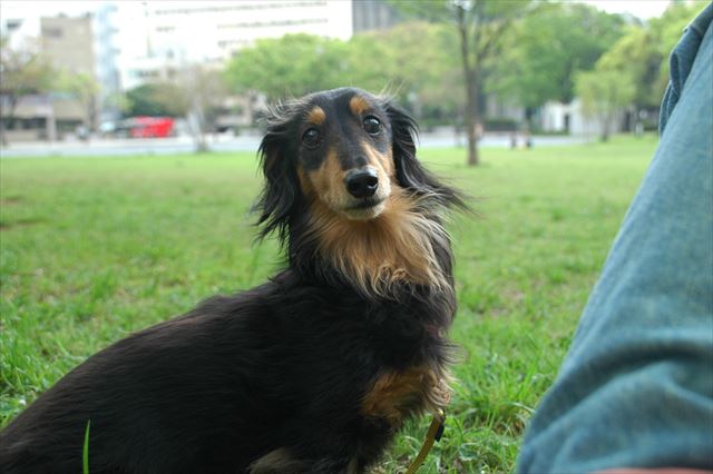 思い出の公園に来たんだよね。懐かしかったよ。うれしかったよ。