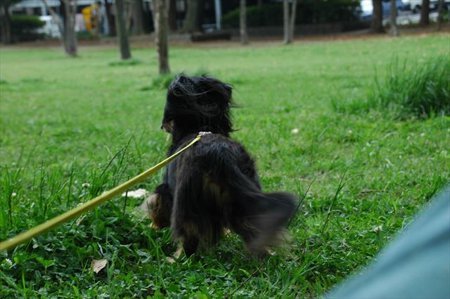 papaを待つ後ろ姿・・かわいい♪