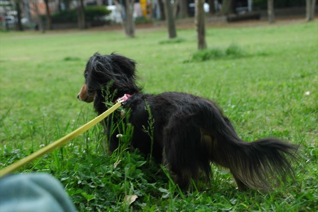 papaのこと、待ってるんだよね。