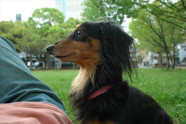 ルパンと一緒の休日・・幸せだよ。