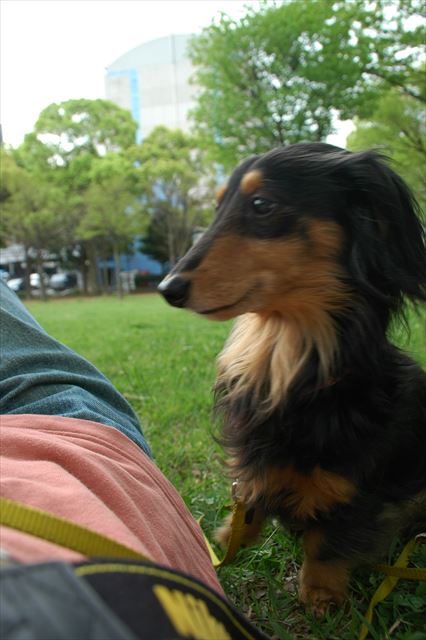 右手をあげて。お得意のポーズ♪