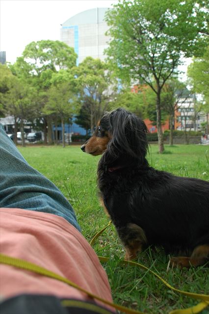 ルパン、大好きだよ。思い出の公園だね。