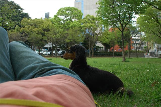 ルパンありがとね。いつも一緒にいてくれてありがとね。