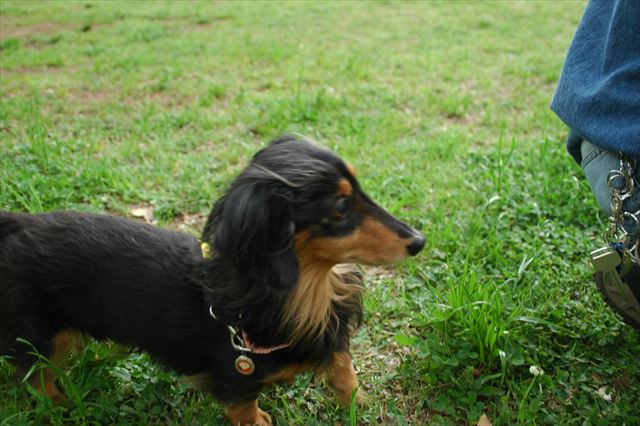 papaを待ってるかわいい姿、忘れられないよ。