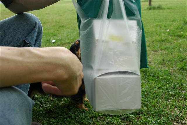 ルパン！papa戻ってきたよ♪