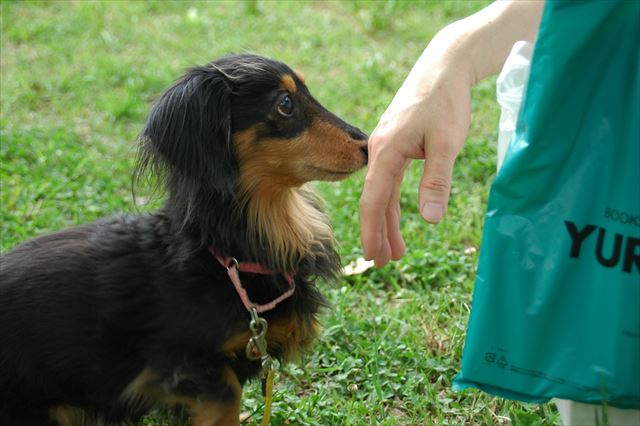 もどってきたよ、papa戻ってきたよ。