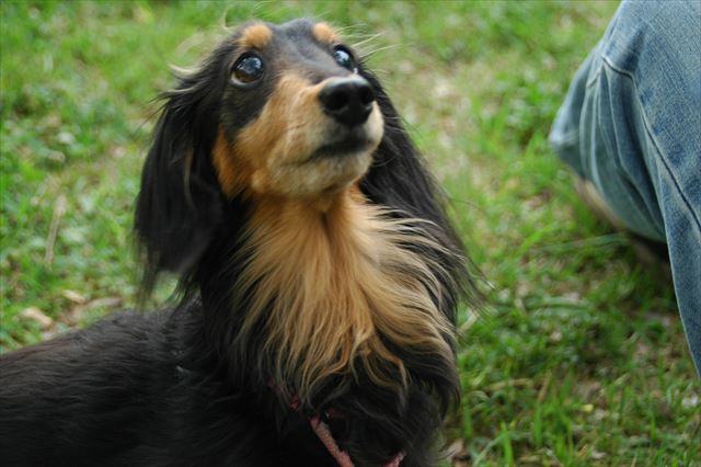 ルパン♪ 大好きだよ。