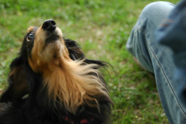 そんなかわいい目で見つめられたらたまんないよ。