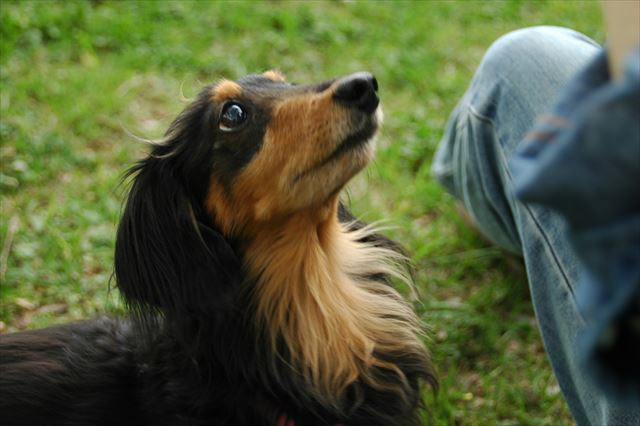 なーに？しゃべれなくても、しゃべってたよね。