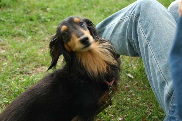 ふたりで過ごした思い出の公園。忘れられないひと時だよ。