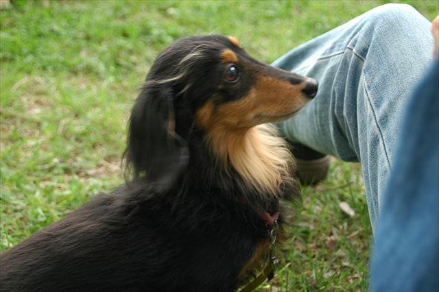 うん、わかってる。ごほうびだよね？