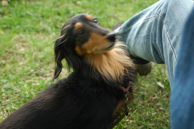 懐かしい公園へ。またルパンと来れてうれしいよ。