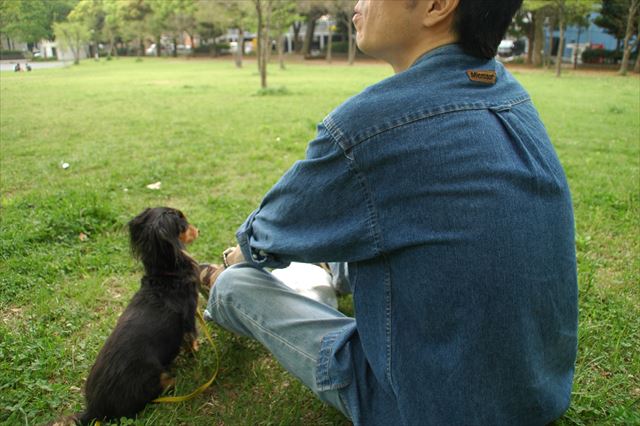 子犬の頃散歩に来た公園へ。ルパンがいる。それだけで幸せ。