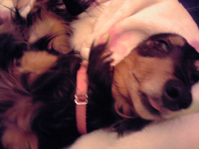 おめめ覚めた？