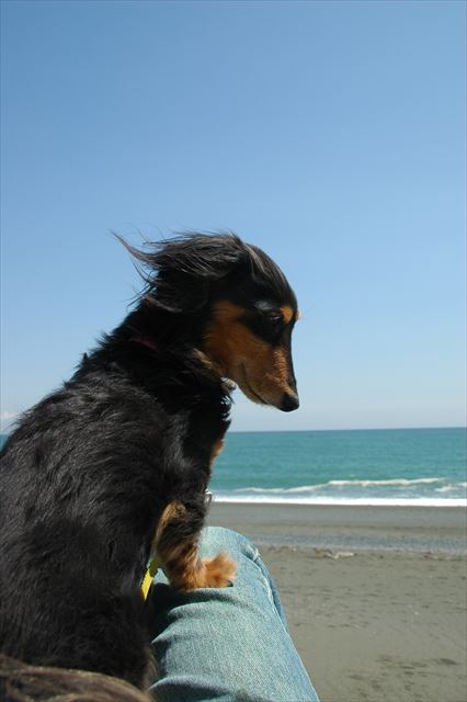 青い海。青い空。そしてルパンがいる・・至福のとき。